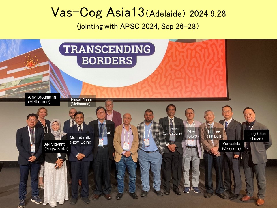 Vas-Cog Asia 13