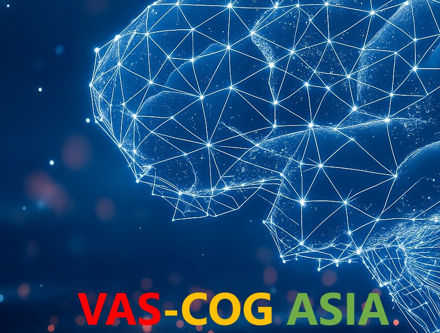 Tentative Program of Vas-Cog Asia 14